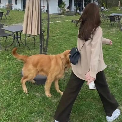 灼烧之爱